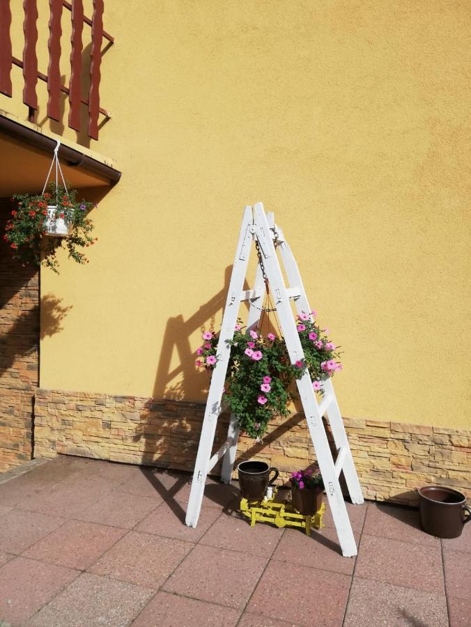 Apartament Nad Szumiacym Potokiem Wilkowice Esterno foto