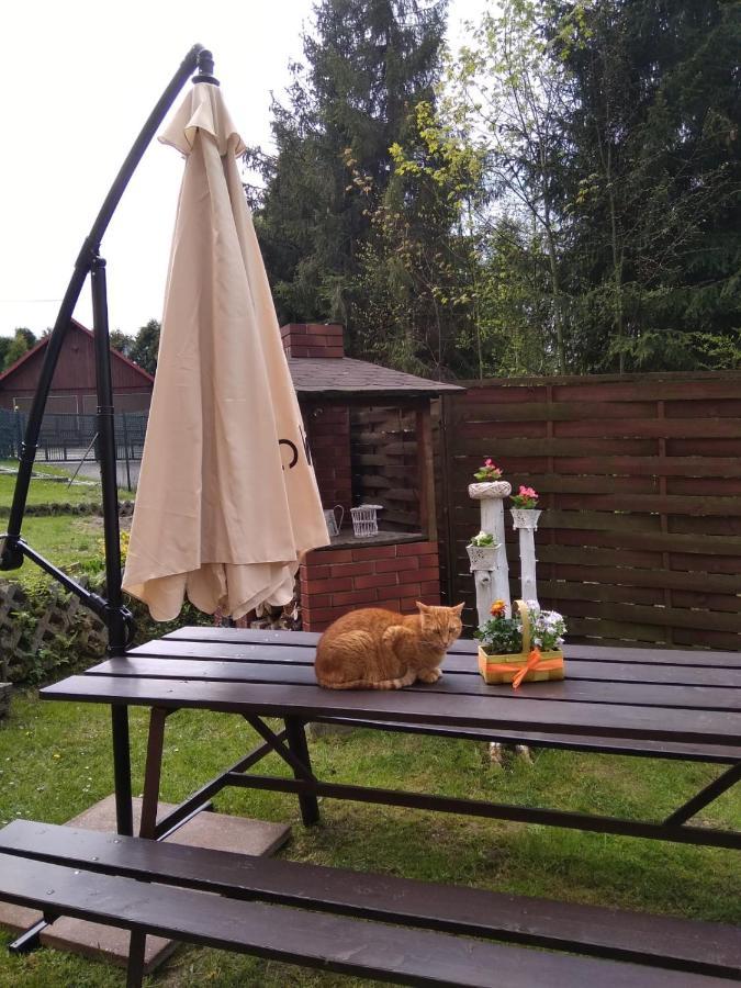 Apartament Nad Szumiacym Potokiem Wilkowice Esterno foto